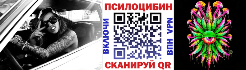 Галлюциногенные грибы прущие грибы  где продают наркотики  Дрезна 