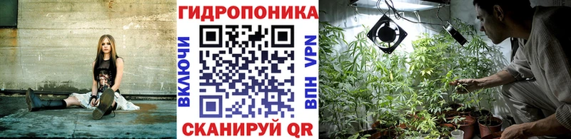 дарнет шоп  Дрезна  mega ONION  Бошки Шишки VHQ 